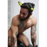 Breedwell Masque Poundtown Pup Breedwell Noir-Jaune